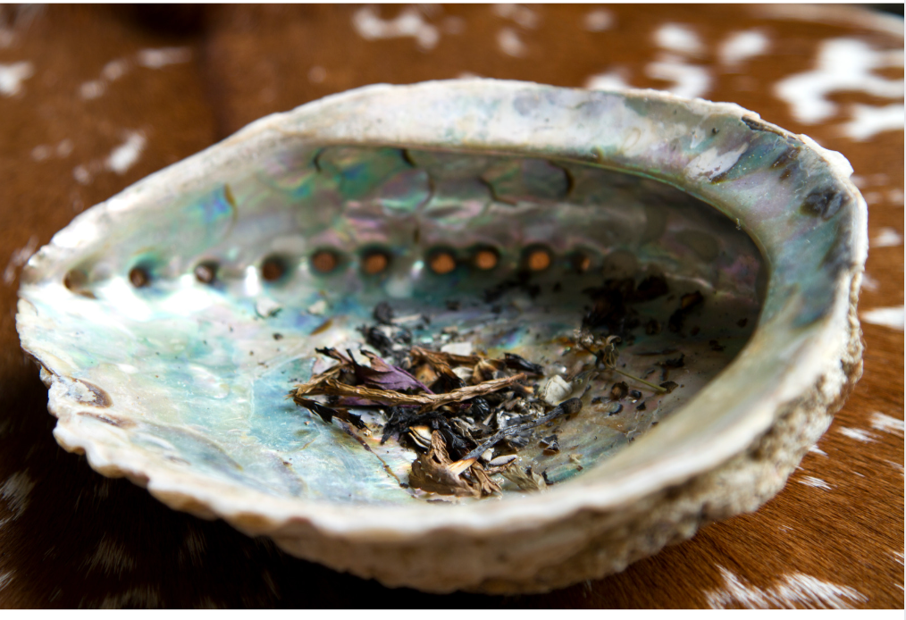 ABALONE SHELL Incense Burner small - Image 9